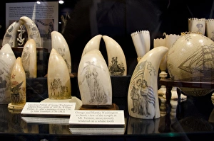 Images Dated 6th July 2012: Massachusetts, New Bedford. New Bedford Whaling Museum