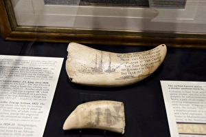 Massachusetts, New Bedford. New Bedford Whaling Museum