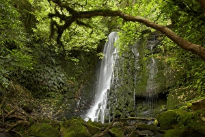 Images Dated 13th February 2012: Matai Falls, Catlins, South Otago, South Island, New Zealand