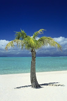 Matira Beach on the island of Bora Bora, Society Islands, French Polynesia, South Pacific