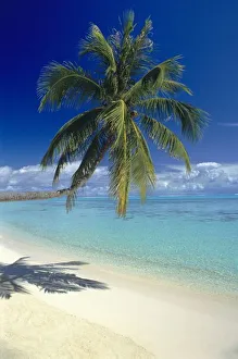 White Sand Prints: Matira Beach on the island of Bora Bora