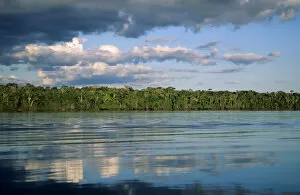 Images Dated 10th March 2006: Mato Grosso, Brazil. Amazon; forested river bank with reflection of sky and trees