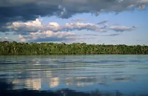 Understory Prints: Mato Grosso, Brazil. Amazon; forested river bank with reflection of sky and trees
