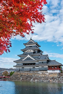 Maple Prints: Matsumoto Castle, Matsumoto, Japan