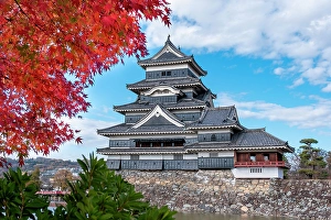 Maple Prints: Matsumoto Castle, Matsumoto, Japan
