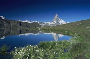 Mirrored Prints: Matterhorn reflecting in Stellisee, Zermatt, Swiss Alps, Switzerland