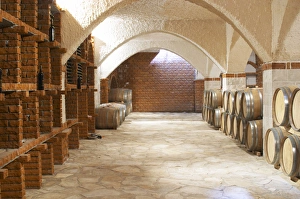 Images Dated 8th July 2006: Matusko Winery. Potmje village, Dingac wine region, Peljesac peninsula. Dalmatian Coast