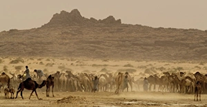 Images Dated 1st April 2006: Mauritania, Akreijit, Touijinet well