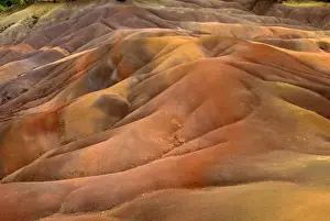 Chamarel Prints: Mauritius, Chamarel. The Chamarel coloured earths are reputed to be of 7 different shades of brown