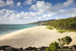 Sea Weed Prints: Mauritius, Rodrigues