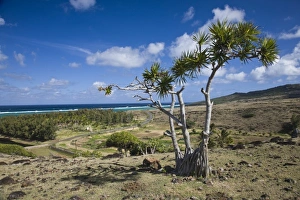 Rodrigues Island Prints: Mauritius, Rodrigues Island, St. Francois, east coast landscape
