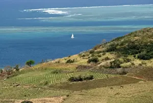 Mauritius. Sugar cane fields and ocean vistas are typical Mauritius scenes
