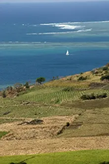Peter Skinner Prints: Mauritius. Sugar cane fields and ocean vistas are typical Mauritius scenes