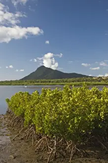 Mauritius Prints: Mauritius, Western Mauritius, Petite Riviere Noir Bay