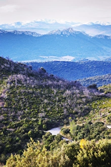 Images Dated 12th December 2006: Maury. Roussillon. Spectacular view over the mountains. France. Europe. Mountains