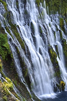 Images Dated 24th August 2008: McArthur-Burney Falls Memorial State Park, California, USA