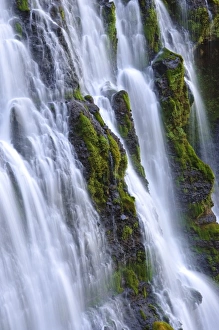 Images Dated 24th August 2008: McArthur-Burney Falls Memorial State Park, California, USA