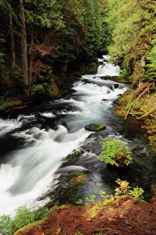 Flowing Prints: McKenzie River in Early Autumn, Oregon, USA