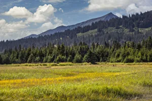 Lake Clark National Park And Pr Prints: Meadow and mountains at Silver Salmon Creek, Lake Clark National Park and Preserve, Alaska