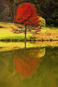 Meadowlark Botanical Garden, Vienna, Virginia