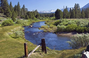 High Country Prints: A meandering stream flows through Hope Valley along California state highway 89 near