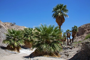 Images Dated 4th November 2024: Mecca Badlands, California