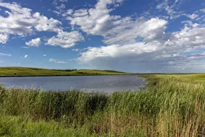 Images Dated 30th June 2018: Medicine Lake National Wildlife Refuge, Montana, USA