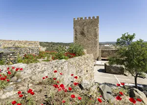 Alentejo Prints: The medieval castle with foudations from moorish times