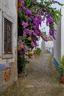 Obidos Prints: The medieval castle of Obidos, Portugal