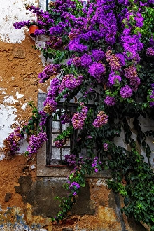 Obidos Prints: The medieval castle of Obidos, Portugal