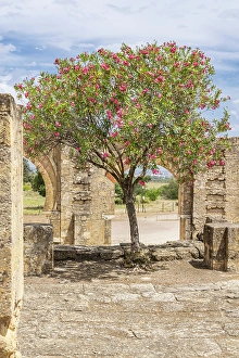 Cloudy Prints: Medina Azahara, Cordoba, Andalusia