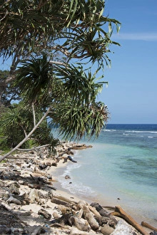 Oceanfront Prints: Melanesia, Papua New Guinea, Bismarck Sea, Tuam Island. Scenic view of island coastline