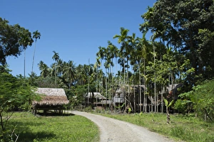 Images Dated 9th October 2014: Melanesia, Papua New Guinea, Fergusson Island. Village views with typical thatched houses