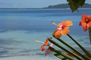 Melanesia, Solomon Islands, island of Owaraha or Owa Raha (formerly known as Santa Ana)