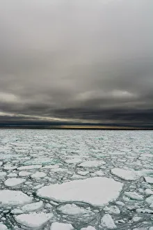 Sea Ice Prints: Melting Arctic sea ice. North polar ice cap, Arctic Ocean