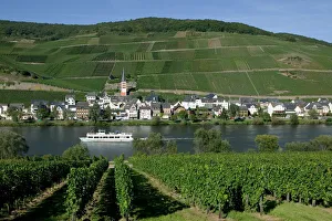 Images Dated 10th September 2004: Merl bei Zell, vineyards, Mosel Valley, Rhineland Palatinate, Germany