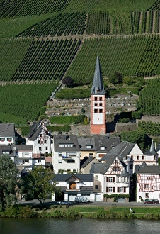 Images Dated 10th September 2004: Merl bei Zell, vineyards, Mosel Valley, Rhineland Palatinate, Germany
