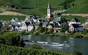 Images Dated 10th September 2004: Merl bei Zell, vineyards, Mosel Valley, Rhineland Palatinate, Germany