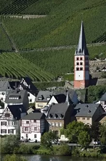 Images Dated 10th September 2004: Merl bei Zell, vineyards, Mosel Valley, Rhineland Palatinate, Germany