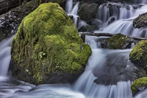 Images Dated 16th April 2018: Merriman Falls in the Olympic National Forest, Washington State, USA