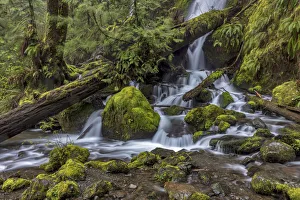 Merriman Falls in the Olympic National Forest, Washington State, USA