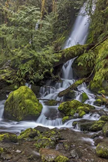 Images Dated 16th April 2018: Merriman Falls in the Olympic National Forest, Washington State, USA