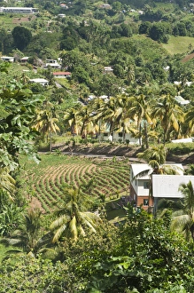 Vincent Prints: Mesopotamia Valley, St. Vincent & The Grenadines