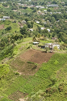 Images Dated 21st February 2011: Mesopotamia Valley, St. Vincent & The Grenadines