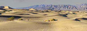 Images Dated 4th November 2021: Mesquite Dunes, Death Valley National Park, California