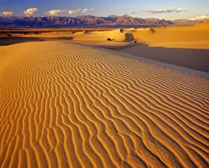 Stovepipe Wells Prints: Mesquite Flat Sand dunes in Death Valley National Park in California