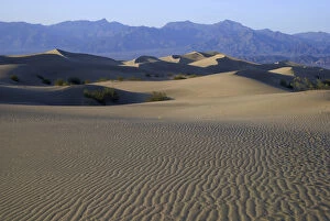 Mesquite Flats Sand Dunes, Death Valley National Park, California, US