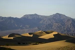 Images Dated 25th October 2006: Mesquite Flats Sand Dunes, Death Valley National Park, California, US