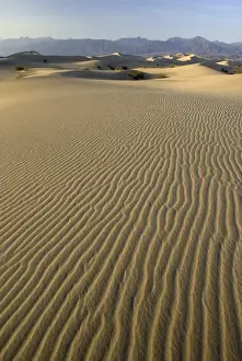 Mesquite Flats Sand Dunes, Death Valley National Park, California, US