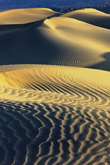 Images Dated 16th March 2013: Mesquite Sand Dunes. Death Valley. California